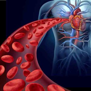 Controlling Blood Sugar Using Natural Remedies Image